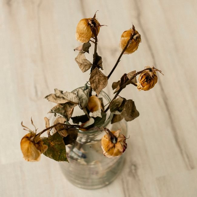 Roses séchées posées sur une table de café.